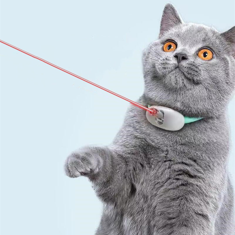 Katzen-Laserhalsband, Katzenspielzeug